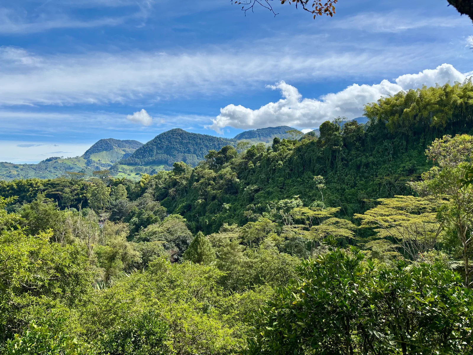 Jardín, Colombia